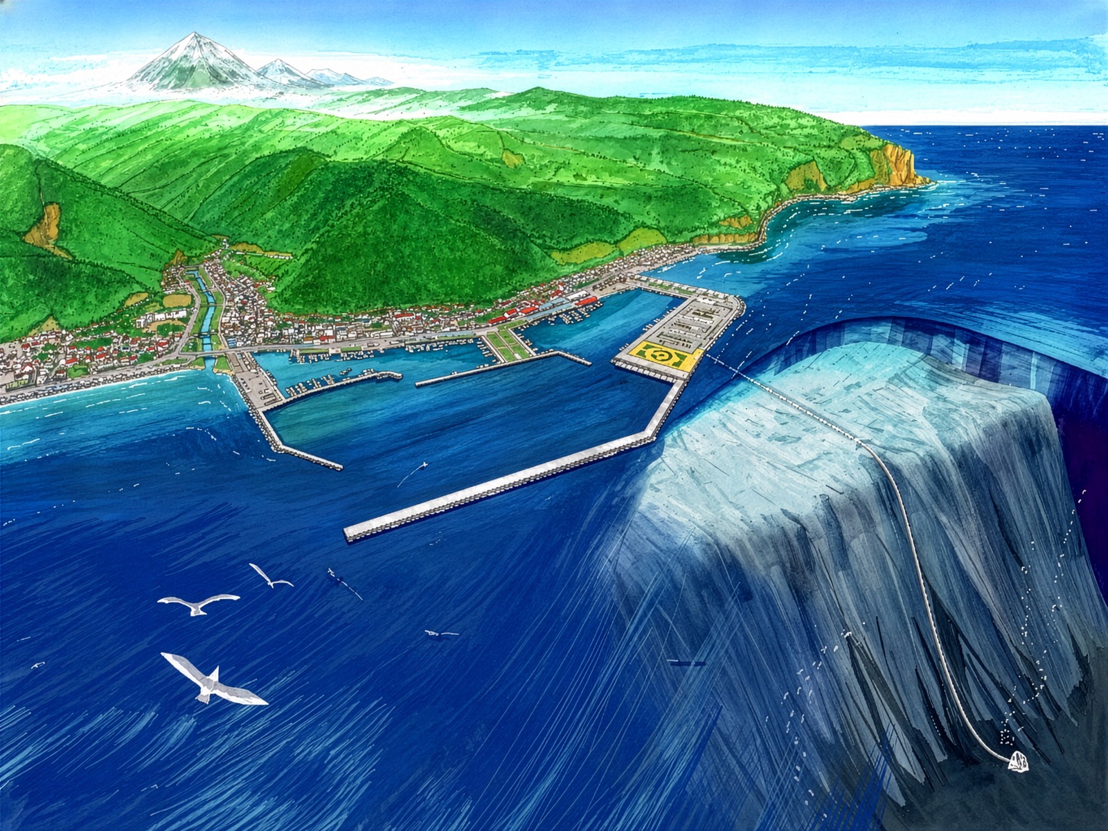 知床羅臼の沿岸・断崖の水中断面(鳥瞰)