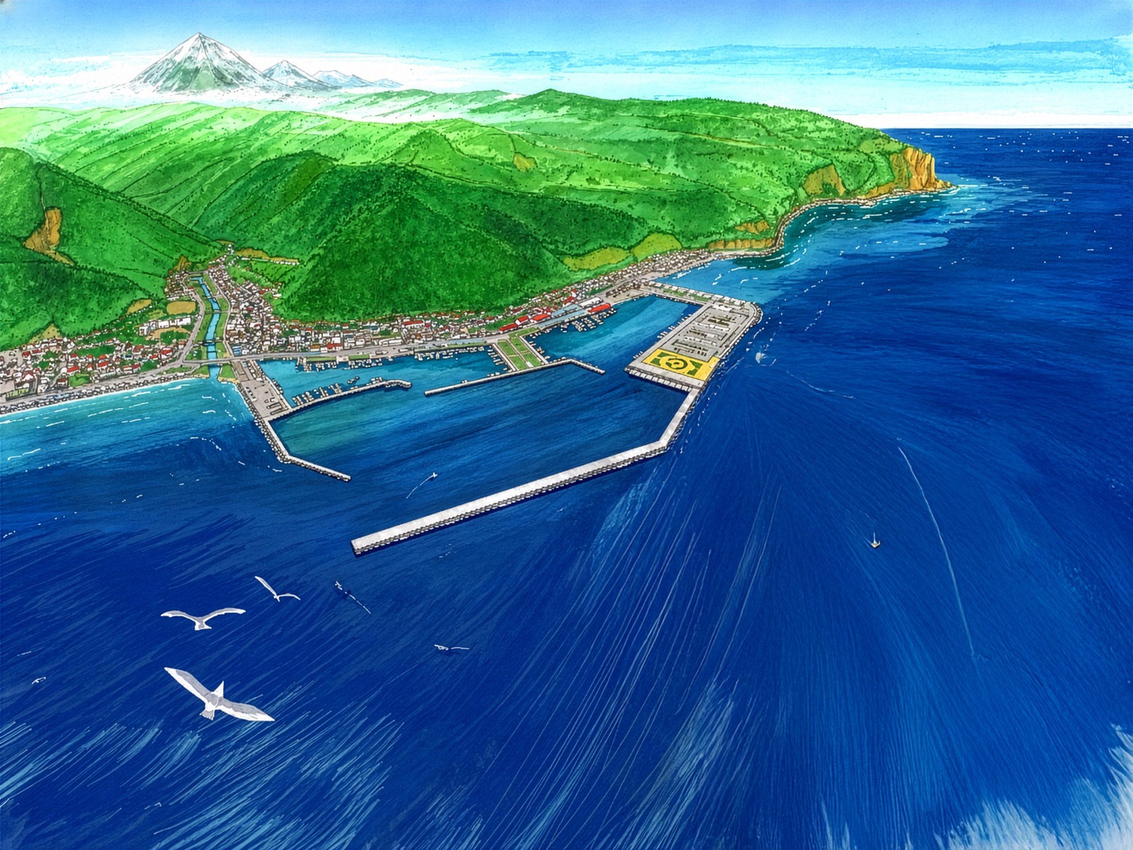 知床羅臼の沿岸・海面(鳥瞰)